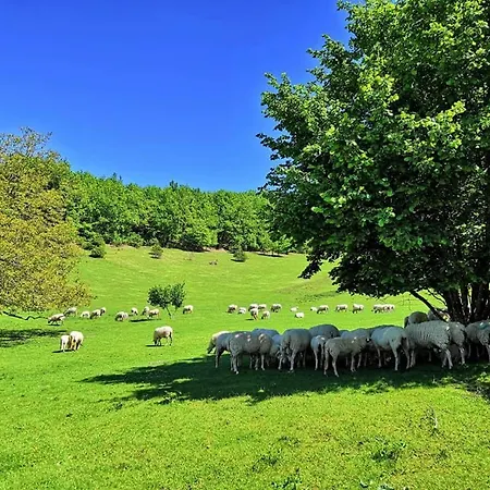 Farm stay Ferme De Lacassagne
