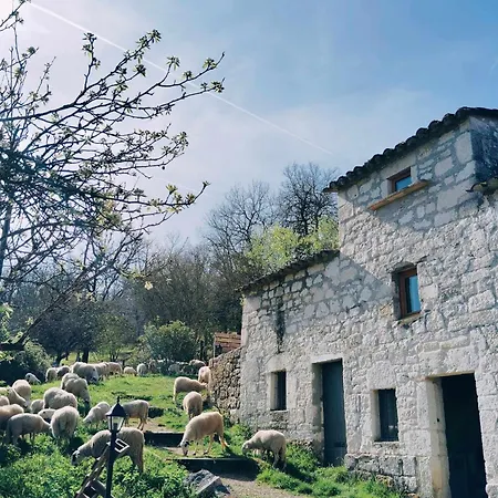 Ferme De Lacassagne *