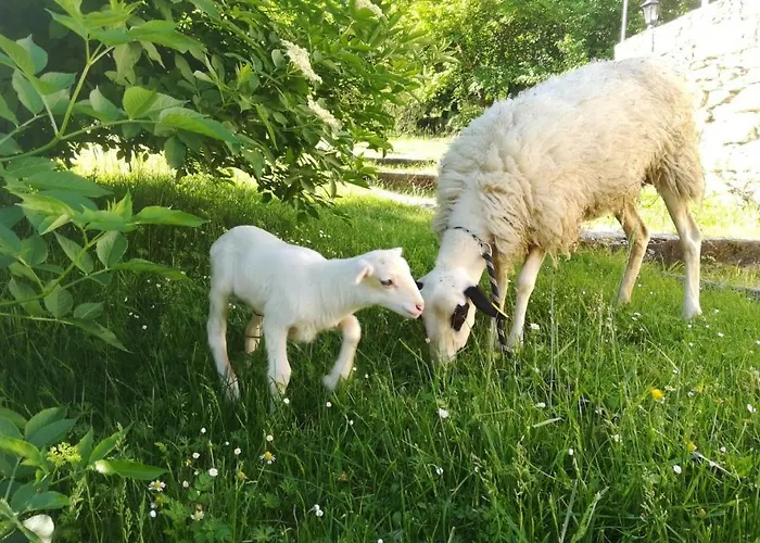 Ferme De Lacassagne Feriegård *